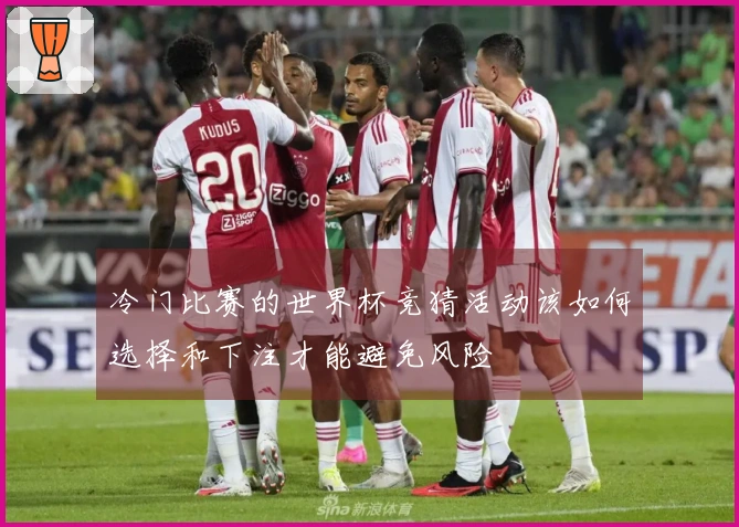 冷门比赛的世界杯竞猜活动该如何选择和下注才能避免风险