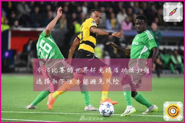 冷门比赛的世界杯竞猜活动该如何选择和下注才能避免风险