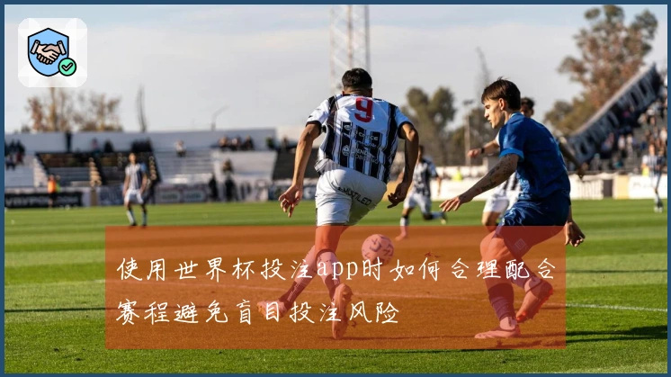 使用世界杯投注app时如何合理配合赛程避免盲目投注风险